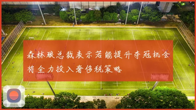 森林狼总裁表示若能提升夺冠机会将全力投入奢侈税策略